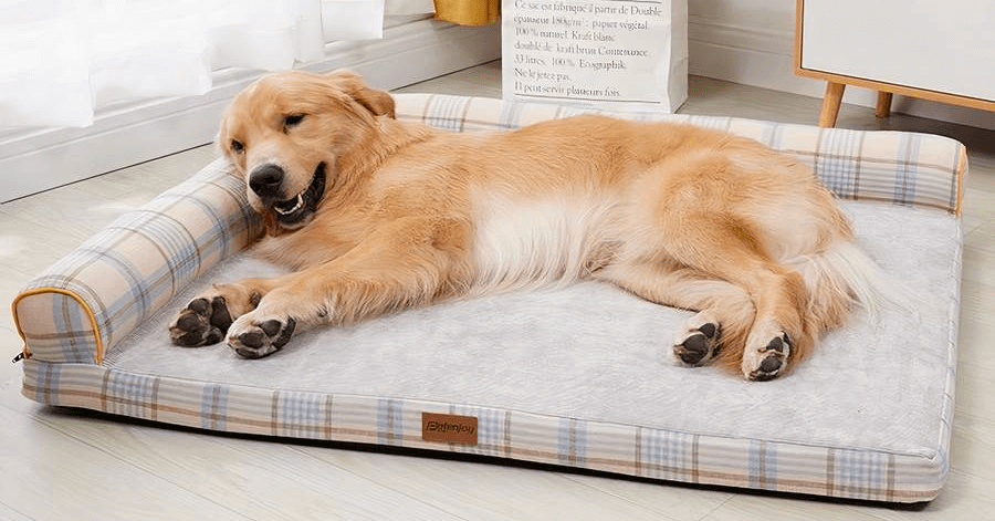 lit pour Chien orthopédique